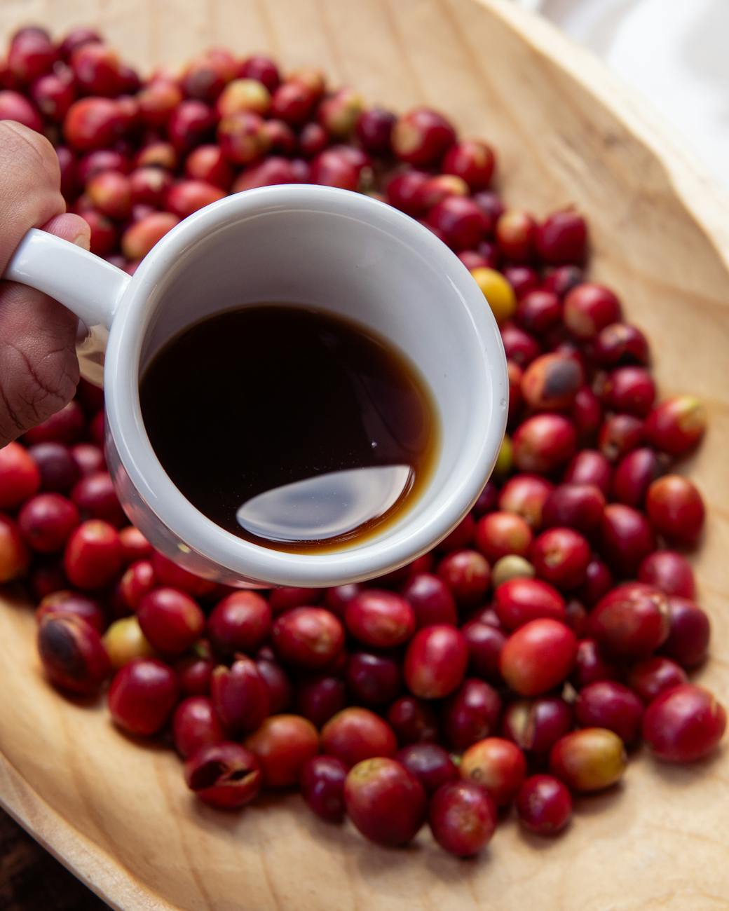 fresh artisan coffee with mexican coffee beans